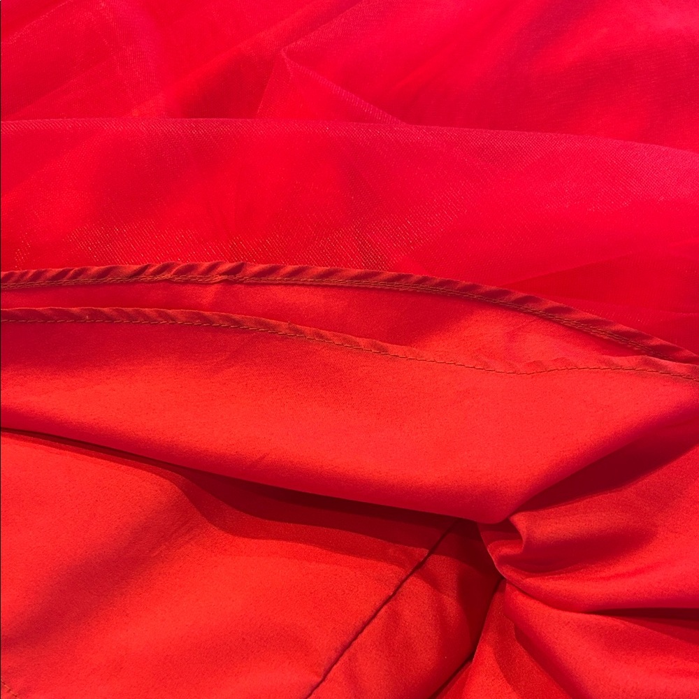 Stacees Prom Dress Size 4 - Picture 14 of 14